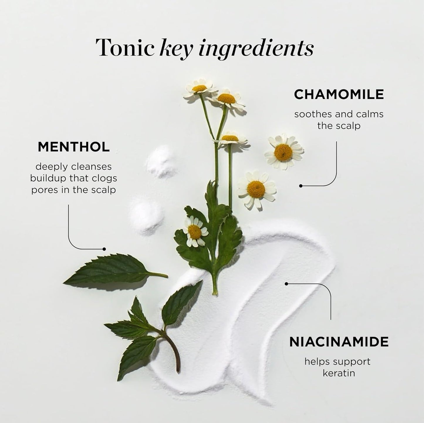 Dr. Groot Thickening Scalp Serum and Calming Tonic Set for Hair Loss – Clinical Results with Biotin and Rosemary for Hair Thinning, Shedding, Scalp Repair and Treatment